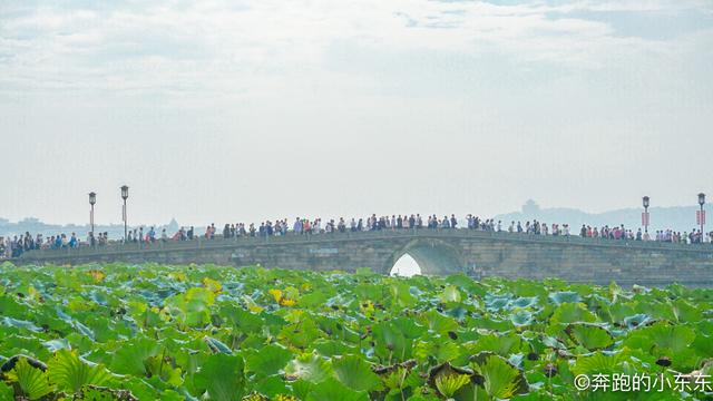 郑州人口达1100_2年后的郑州,即将全面爆发(3)