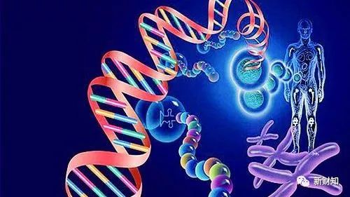 老百姓没必要打宫颈癌疫苗…华大基因火了,掌