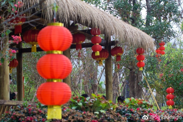 【大美福州】福山郊野公园,十里桃花成为福州