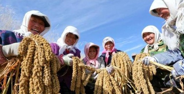 首个中国农民丰收节到来 将开展系列节庆活动 今年的9月23日对于中国农民是个重要的日子,他们将迎来第一个专属节日中国农民丰收节。 今年6月,国务院公布了关于同意设立中国农民丰收节的批复。2018年起,将每年农历秋分设立为中国农民丰收节。 近期,中国农业农村部表示,各部门正加紧筹备一系列节庆活动,届时节日活动将持续约半个月。
