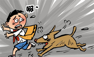福州5龄童遭狗扑咬,血肉模糊!恶犬伤人到底是谁的错?