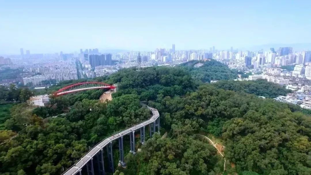 2019福建经济_...月28日下午,2019年京交会\