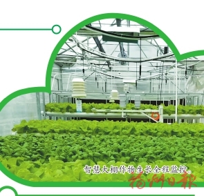 福州：智“农”生产 绿色可控