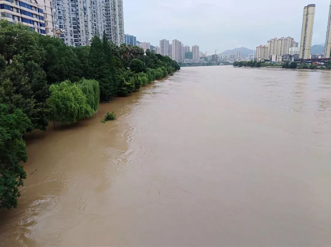 福建三明暴雨_福建龙岩暴雨央视新闻_福建暴雨预警