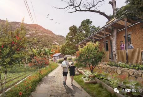 构建以"高湖荷塘生态白眉"的乡村旅游产业发展,生态观光为主的乡村