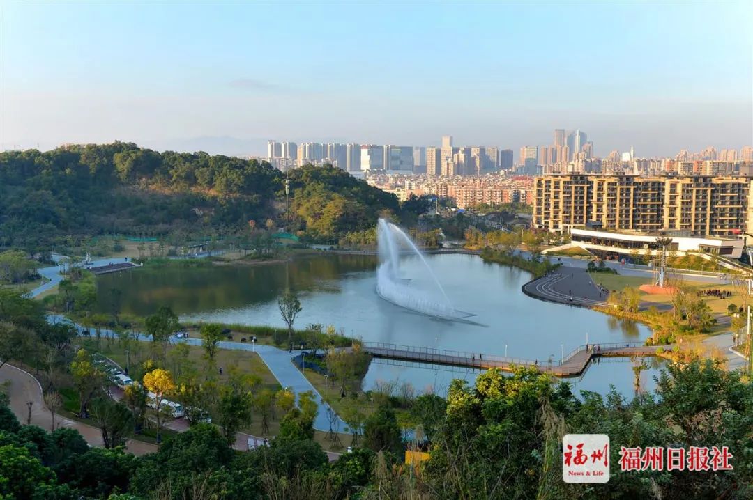 2019年,阿波龙落地飞凤山公园,吸引市民纷纷前来体验.