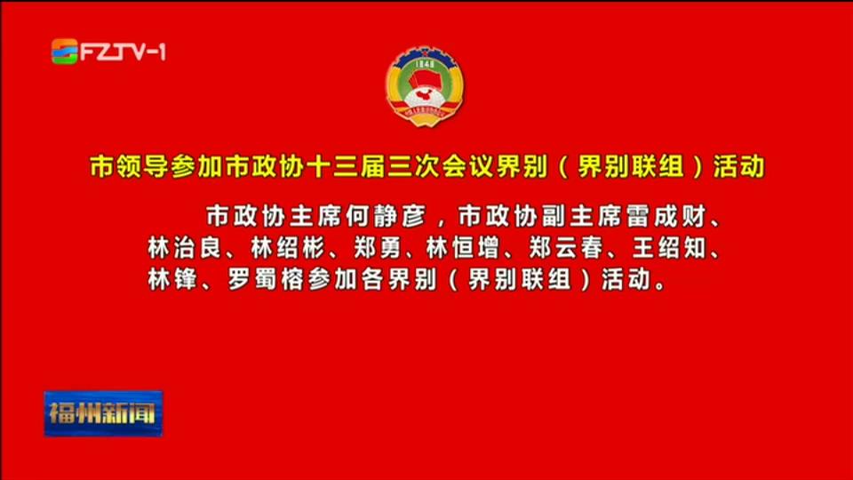 市领导参加市政协十三届三次会议界别(界别联组)活动